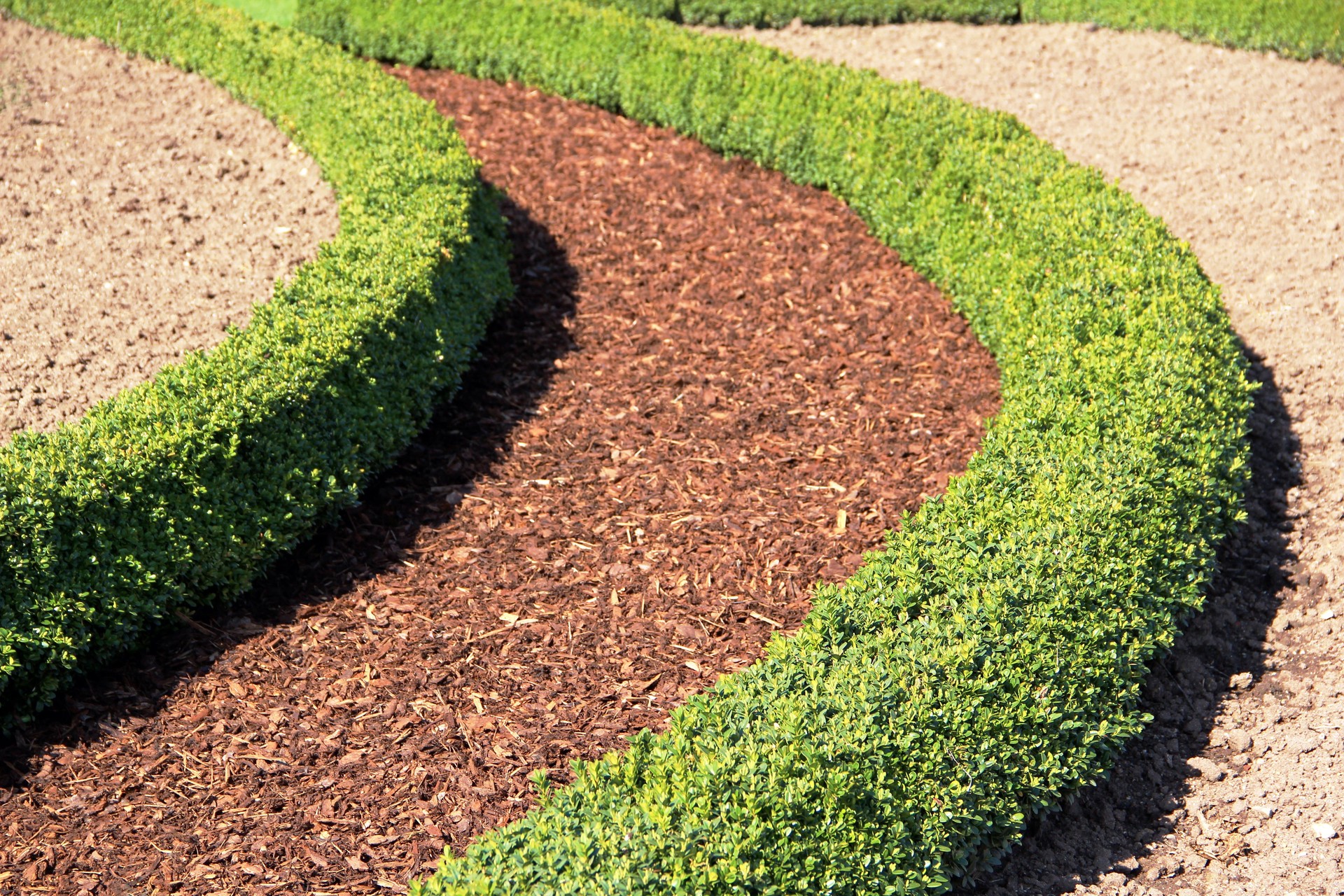 Garden design with boxwood hedges